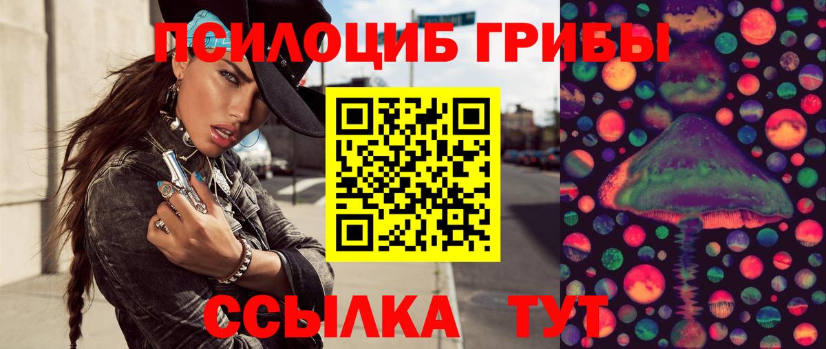 Северобайкальск  Галлюциногенные грибы MAGIC MUSHROOMS  Вход с VPN 