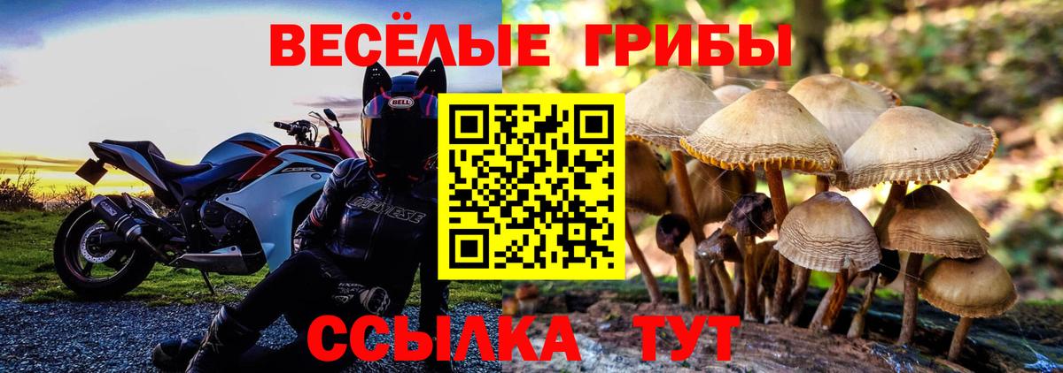 Псилоцибиновые грибы мицелий Северобайкальск